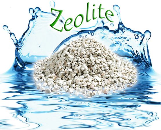 zeoli